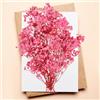 RUGBOL Fiori di Gypsophila secchi, fiori di Gypsophila rosa secchi per il fai da te, l'arte, lo scrapbooking, la creazione di gioielli, decorazioni floreali