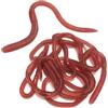Rakiuty 10 Pezzi Artificiale Earthworm,Vermi in Plastica Morbida,Falsi Lombrichi,Giocattoli Simulazione Lombrichi,Giocattolo Realistico di Ggetti di Scena per Il Pesce d'Aprile e Gli Scherzi di Halloween