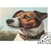 RMMERPCVREFE Jack Russell Cane Puzzle 1000 Pezzi per Adulti Outdoor Ritratto Gioco di Puzzle Famiglia Relax Casa 52x38cm/1000pcs