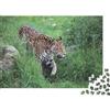 RMMERPCVREFE Leopard Puzzle 1000 Pezzi Carta per Adulti Green Grassland Puzzle per Famiglia Relax Regalo Decorativo 52x38cm/1000pcs