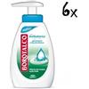 BOROTALCO SAPONETTA LIQUIDO MANI ANTIBATTERICO 250 ML