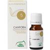 ALTA NATURA-INALME Srl Essentia canfora olio essenziale purissimo 10 ml