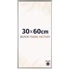 Dutch Frame Factory - Cornice 30x60 cm - Champagne - Cornice per foto in Plastica con vetro plastico Antiriflesso - Cornice portafoto 30x60 cm - Easy