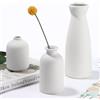 Zaxiva Set di 3 Vaso in Ceramica Bianco, Soprammobili Moderni Nordico Moderno e Minimalista per l'arredamento Della Casa, Fiori Secchi Decorativi per Vaso Design Casa, Centrotavola Decorativo da Tavol
