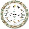 KOOKOO Singvögel RC Feather Heart, Orologio con 12 uccelli canterini autoctoni e richiami naturali, con movimento al quarzo radiocontrollato RC