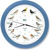 KOOKOO Singvögel RC cielo blu, Orologio con 12 uccelli canterini autoctoni e richiami naturali, con movimento al quarzo radiocontrollato RC