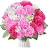 Fairblo Peonia Finte Fiori di Seta Artificial Bouquet di Fiori Garofano Piante Artificiali per Matrimoni, Casa, Feste di Compleanno, Decorazioni da Giardino