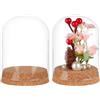 BENECREAT 2 pz. Espositore In Vetro A Campana, Campana di Vetro Da 8x12cm con Base In Sughero, Cupola per Esposizione di Fiori, Impianto, Miniatura e Artigianato, ID: 7.5cm