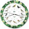 KOOKOO Singvögel RC Flower Planet, Orologio con 12 uccelli canterini autoctoni e richiami naturali, con movimento al quarzo radiocontrollato RC