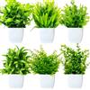 Purpledi 6 Pezzi Mini Piante Artificiali Verdi in Vaso Plastica, Piante Finte da Interno, Piantine Finte Decorative con Vasetto per Casa Ufficio Tavolo Stanza Bagno Decorazione Interno B