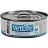 FARMINA Vet Life Hypoallergenic Pork&Potato 85g