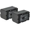 vhbw 2x batteria compatibile con Panasonic NV-DA1, CGR-D16S, NV-DS1, NV-DA1B, NV-DS12, NV-DS11 videocamera camcorder (1700mAh, 7,2V, Li-Ion)