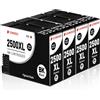 Clywenss Cartucce compatibili PGI-2500XL con Canon 2500 XL, 4 nere | Cartucce d'inchiostro per Canon 2500XL Maxify MB5150 MB5450 MB5100 MB5155 MB5050 MB5455 MB5400 MB5350 iB4150 MB-5150 MB-5450