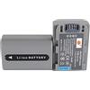 DSTE 2PCS NP-FP50 (1100 mAh/7.4V) Batteria compatibile con Sony NP-FP30, NP-FP60, NP-FP70, NP-FP71, DCR-DVD203E, DCR-DVD205, DCR-DVD205E, DCR-DVD304E, DCR-DVD305_AB