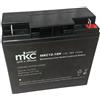 Generico Batteria 12V 18Ah AGM VRLA Ricaricabile Ciclica, Piombo Sigillata Senza Manutenzione, Terminali Faston, per UPS Allarmi Luci Emergenza Energia Solare