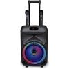 Bontempi | Cassa Trolley Acustica Wireless con 2 Microfoni Senza Filo, Luci RGB, Telecomando, Display, Funzione TWS, 48x29x24 cm