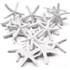 Forever bene 25 Pezzi Stelle Marine in Resina Artificiale 5,8cm - Decorazioni Realistiche per Vasi, Matrimonio, Artigianato Fai da Te, Ornamento Marino Fragile (Bianco)