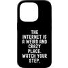 Culture Humor Witty Observational Tech Custodia per iPhone 14 Pro Internet è un posto strano e pazzo uomini spiritosi Donne