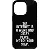 Culture Humor Witty Observational Tech Custodia per iPhone 13 Pro Internet è un posto strano e pazzo uomini spiritosi Donne