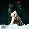PartyNextDoor & Drake $ome $exy $ongs 4 U (CD) Album