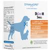 Dynamopet Srl Digea M Small Mangime Complementare Per Le Fisiologiche Condizioni Metaboliche Di Cani Piccoli E Gatti 20 Bustine