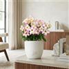 FLOB Rosa del Deserto Vera (Adenium Obesum) con Vaso in Terracotta FLOB - Pianta Viva Tropicale da Interno - Vaso 12 cm - Facile da Curare
