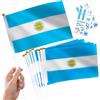 YAAVAAW 10 pezzi piccoli su barre e 2 tatuaggi, per eventi sportivi, decorazioni nazionali, contanti per interni ed esterni (Argentina)