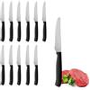 PALUPLUS Set 12 Coltelli da Carne con Punta TONDA in Acciaio Inox, Lunghezza 21 cm, Lama Seghettata e Temprata, Impugnatura Ergonomica, Coltelli da tavola per Bistecca e Pizza, Made Italy -392