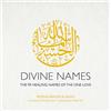 Interlink Pub Group Inc Divine Names: The 99 Healing Names of the One Love
