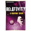 Icon Books Introducing Relativity: Graphic Design