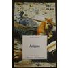 SOLITAIRES INT Antigone