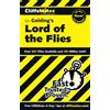 Wiley CliffsNotes on Golding's Lord of the Flies