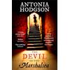 Hodder The Devil in the Marshalsea: The unmissable, atmospheric first historical mystery from the Sunday Times bestselling author of The Raven Scholar