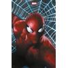 Panini 100% Marvel