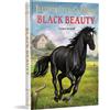 Wonder House Books Black Beauty: English Novel With Review Questions