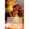CREATESPACE The Seven African Powers VII: God Light