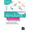HATIER Français Cycles 2 et 3 Les cahiers d'écriture: Remédiation