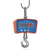 Baxtran Gancio Grua Dinamometro Digitale Baxtran STA 100 (100 kg x 50 g)