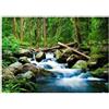 WallArena - Carta da parati fotografica - cascata 250x175 cm - Murale fotografico - Per soggiorno e camera da letto - Effetto 3D - con Colla - Natura del paesaggio forestale