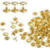 QUARKZMAN 60 Set Rivetti in Pelle Doppia Cappuccio, 12x8mm Tondo Rivetto Tubolari a Vite per Cuoio Chicago Metallo per Pelle Cintura Tessuto Collare Borsa Riparazione Decorazione, Oro