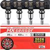 Autel MX-Sensor 2 in 1 315MHz + 433MHz Sensore TPMS Universale Programmabile a Inserimento, Livello OE, 100% Clonabile con Strumento TPMS Autel TS4