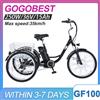 NONE Triciclo Elettrico Gogobest GF100 con Batteria al Litio 36V15Ah, Motore Brushless Anteriore da 250W, Bicicletta Elettrica da Carico, Cambio a 7 Velocità, E-bike da 24 Pollici