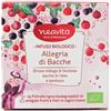 Neavita - Filtroscrigno Infuso Biologico Allegria Di Bacche Confezione 15 Filtri