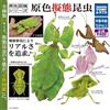 TAKARA TOMY A.R.T.S Primary Color Mimicry Insects set completo 4 tipi di figure capsule...