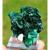 Malachite 41 Grammi - STELLE Del Congo Mine, Lubumbashi, Dr Congo