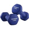 SONGMICS Set di 2 manubri da 2 manubri da 2,5 kg antiscivolo da ginnastica con rivestimento opaco in neoprene, allenamento della forza, casa, palestra, blu SYL65BU