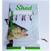 globe fishing moschiera pesca coregone amettiera ami mosche esca agone lavarello canna galleggiante