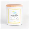 ACCENDILA CANDLE Tempesta - Candela Profumata, Kumquat e Pompelmo rosa, Cera naturale, Made in Italy, Bicchiere in Vetro Satinato, Tappo in Legno di Faggio, 200 grammi