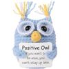 lasuroa Divertente Gufo Positivo All'Uncinetto, 7cm Simpatici Mini Bambola Lavorata a Maglia con Carta di Affermazione Ispiratrice Regalo di Incoraggiamento per Compleanno Bambini Feste Decorazioni