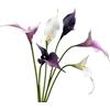 Urier Fiori artificiali di calla, fiori in lattice realistici al tatto, a stelo lungo, per fai da te, bouquet di nozze, feste, decorazione per la casa, centrotavola (6, bianco viola)